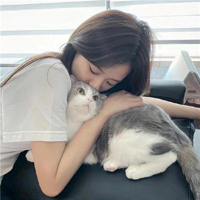 白色的南方